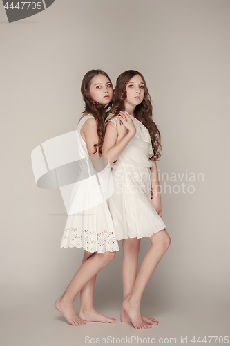 Image of The fashion girls standing together and looking at camera over gray studio background