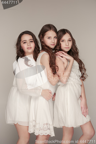 Image of The fashion girls standing together and looking at camera over gray studio background