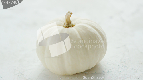 Image of Big ripe white pumpkin