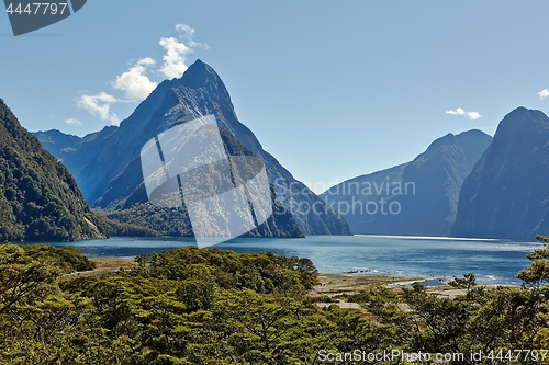 Image of Landscape in New Zealand Fjordland