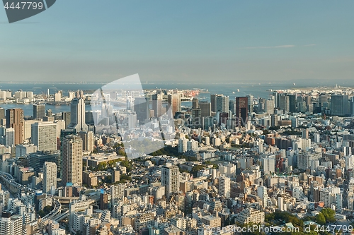 Image of Tokyo Night View