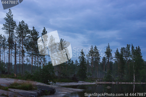 Image of Trees On The Stony Shore Of The Northern Lake