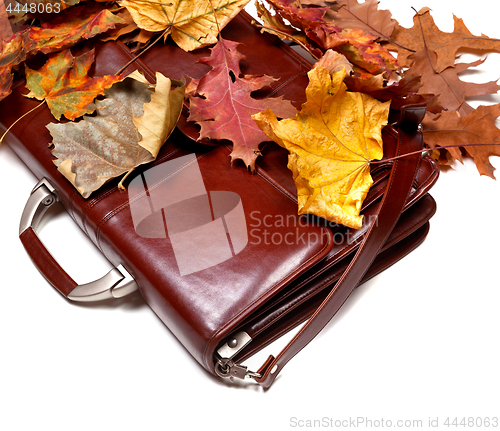 Image of Brown leather briefcase and autumn dried leaves