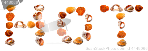 Image of HOT text composed of seashells