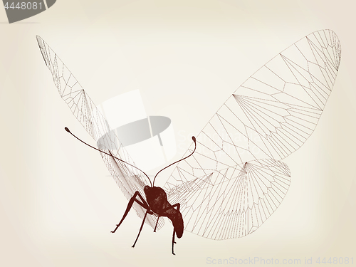 Image of Line butterfly concept. 3d illustration. Vintage style