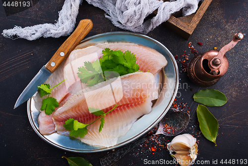 Image of raw fish fillet 