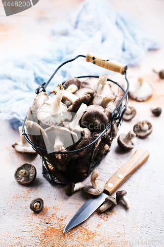Image of raw mushrooms