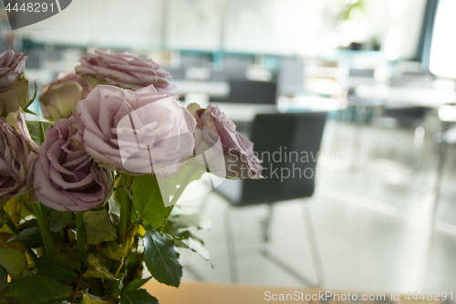 Image of 