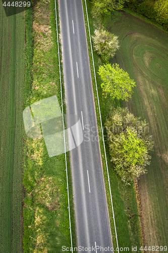 Image of Asphalt road with green trees on the roadside