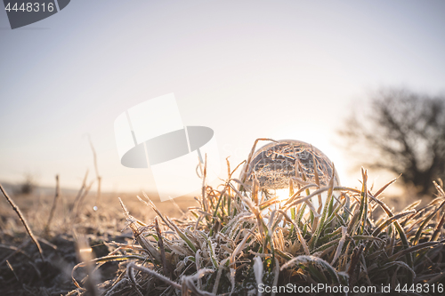 Image of Glass orb lighting up in the sunrise