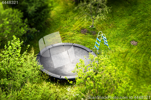 Image of Large trampoline in a garden with a ladder