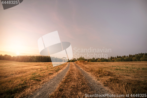 Image of Dirt road in the sunset going to a forest