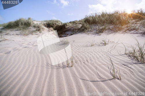 Image of Beach shaped by the wind on a Scandinavian shore