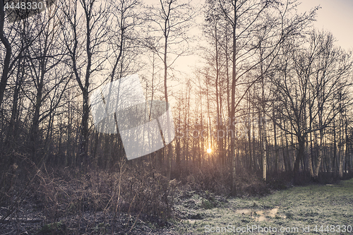 Image of Sunrise on a frosty morning in December