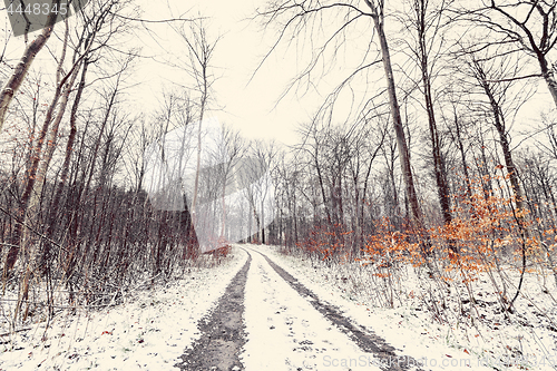 Image of Winter landscape with a road going through a forest