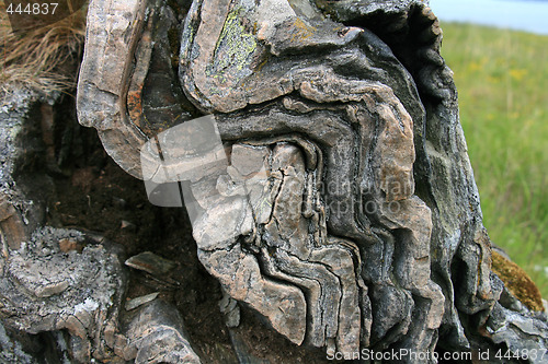 Image of Pattern in stone