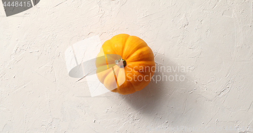 Image of One orange pumpkin in middle