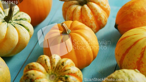 Image of Pumpkins laid in row on table