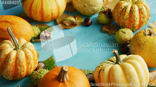 Image of Pumpkins and chestnuts laid in circle