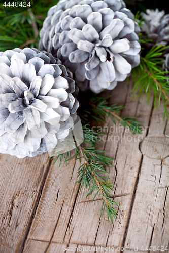 Image of Christmas fir tree branch and white pine cones.