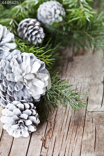 Image of Christmas fir tree branch and white pine cones.