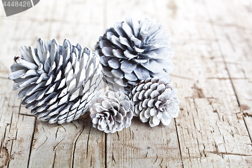 Image of White decorative pine cones.