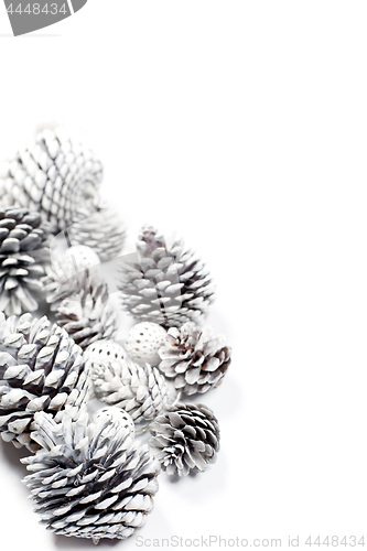 Image of White decorative pine cones.