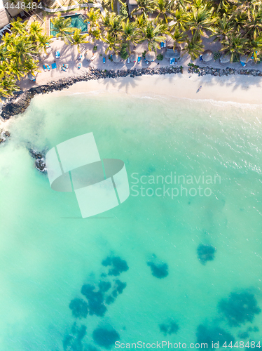 Image of Aerial view of amazing tropical white sandy beach with palm leaves umbrellas and turquoise sea, Mauritius.