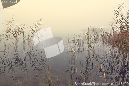 Image of Fog on the lakeside