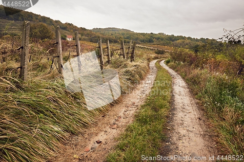 Image of Dirtroad in the countryside