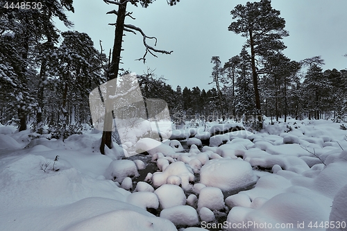 Image of Winter Snowy Landscape