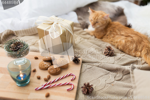 Image of red cat lying in bed with christmas gift at home