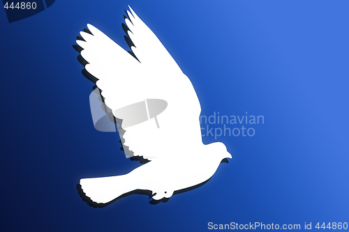 Image of Dove