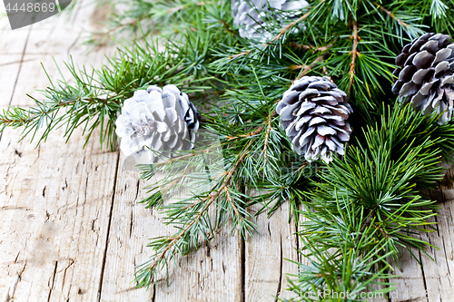 Image of Evergreen fir tree branch and white pine cones?