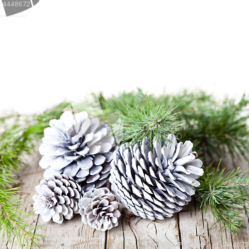 Image of Evergreen fir tree branch and white pine cones.