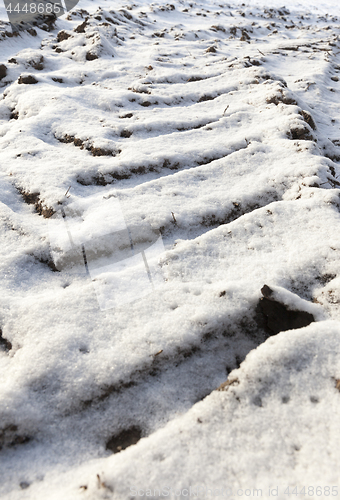 Image of traces of the car on snow