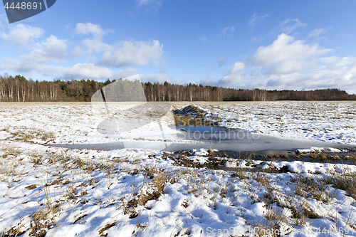 Image of Photo of snow, close-up