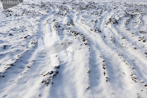 Image of traces of the car on snow
