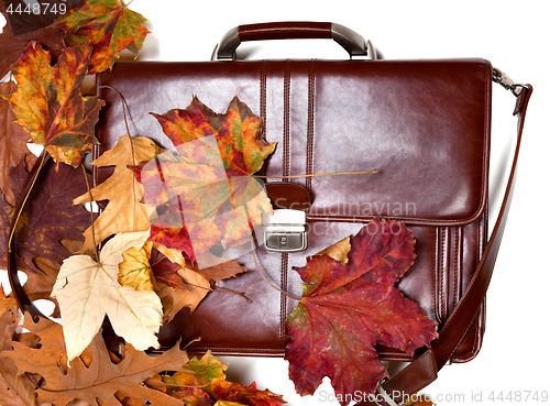 Image of Brown leather briefcase and autumn dry leaves