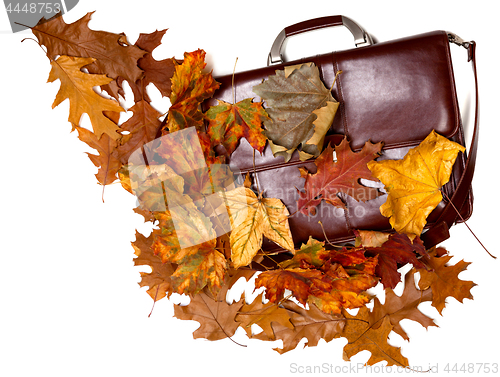 Image of Brown leather briefcase and autumn multicolor dry leaves