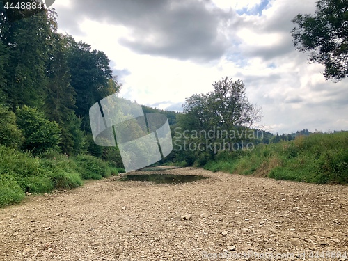 Image of Seepage of the Danube river in Germany