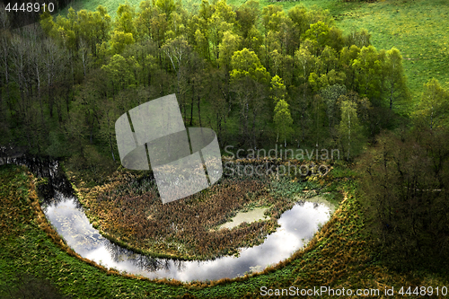 Image of Happy nature with a smiling lake