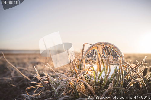 Image of Crystal ball in frozen grass in the sunrise