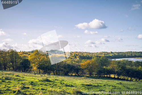 Image of Autumn landscape with colorful trees