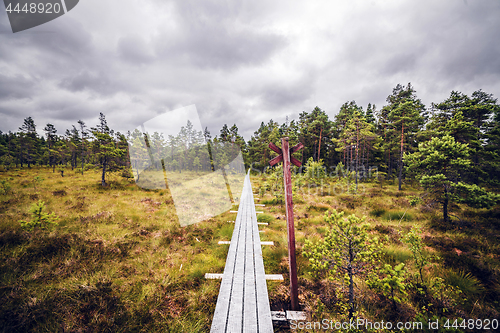 Image of Hiking trail with a red post