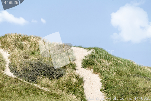 Image of Danish coast landscape with dunes