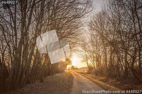 Image of Winding road in the sunrise with trees