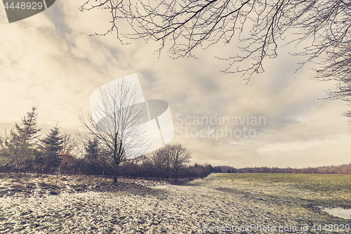 Image of Rural field in the winter with barenaked trees