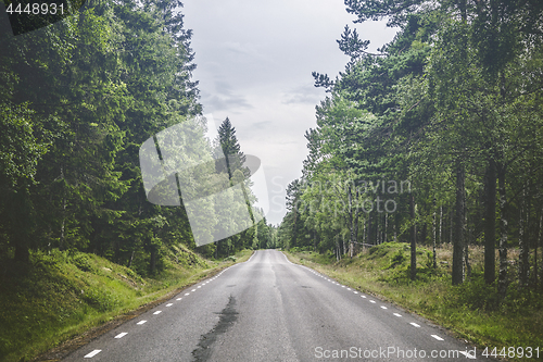 Image of Asphalt road in a forest