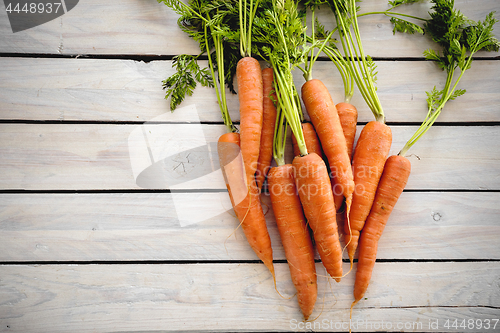 Image of Colorful carrots with a green stalk